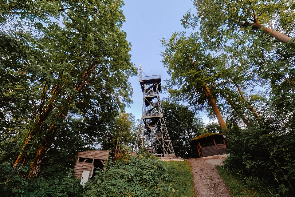 Aussichtsturm im Wald